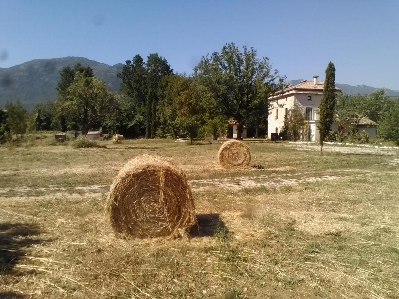 Casina Di Pietra Villa San Giorgio a Liri Dış mekan fotoğraf