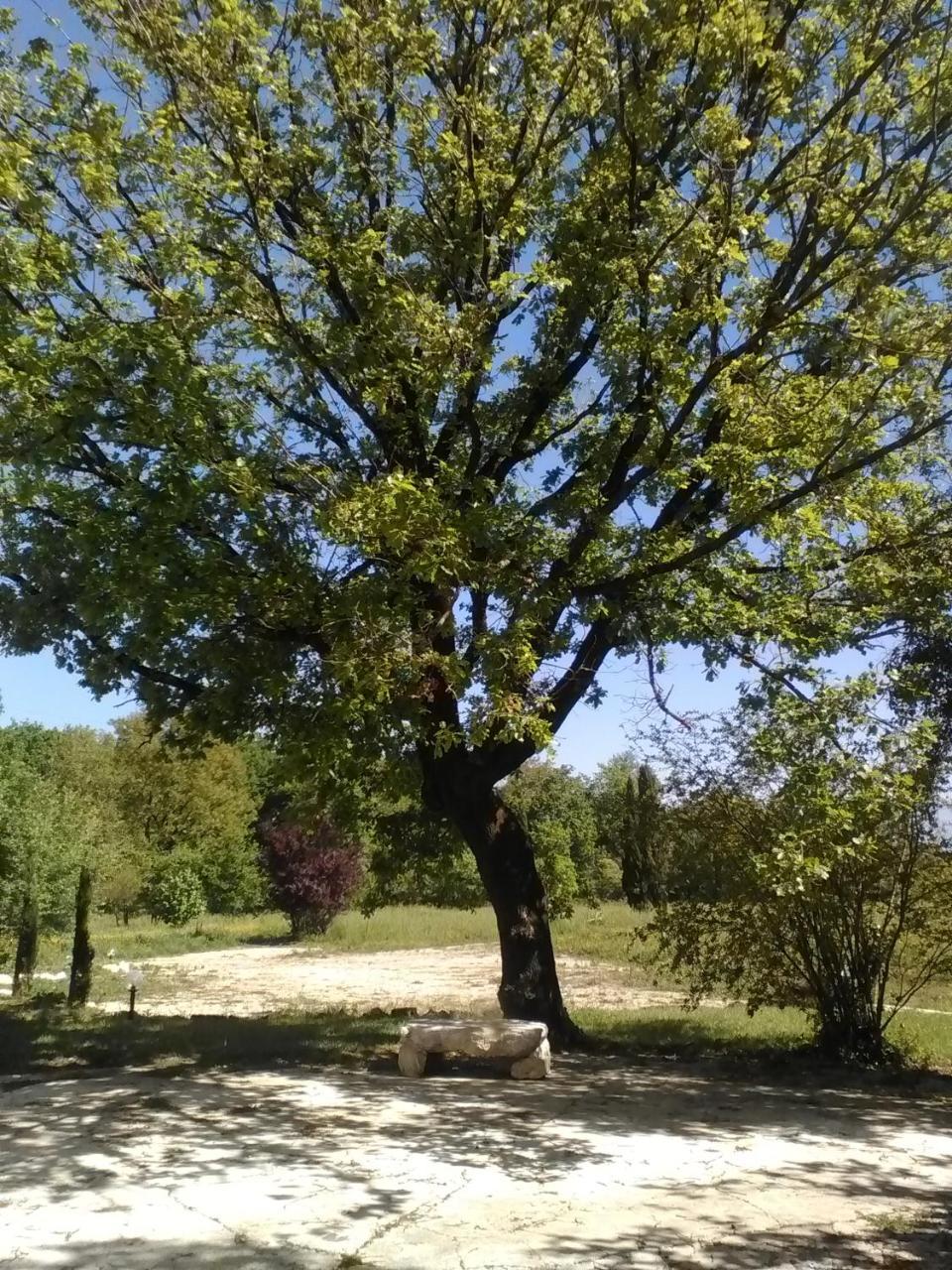 Casina Di Pietra Villa San Giorgio a Liri Dış mekan fotoğraf